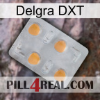 Delgra DXT 24